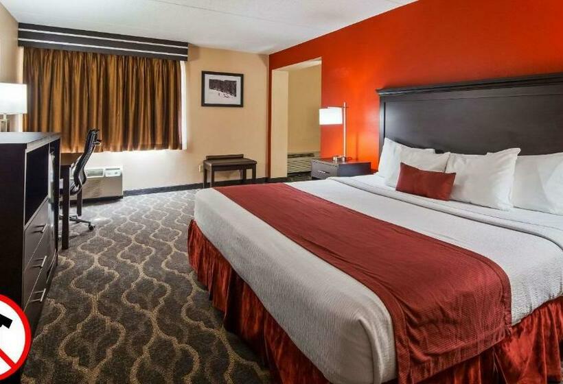 Номер Стандарт Кровать Кинг Адаптированный для Инвалидов, Best Western Inn At Blakeslee Pocono