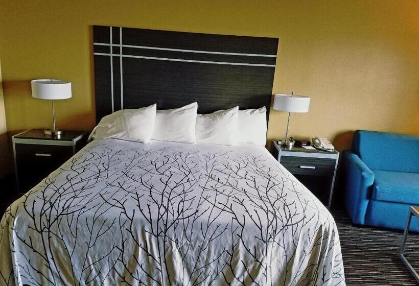 Стандартный Номер Кровать Кинг, Best Western Topaz Lake Inn