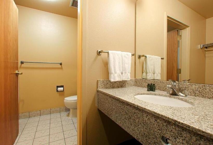 Стандартный Номер Кровать Кинг, Best Western Topaz Lake Inn