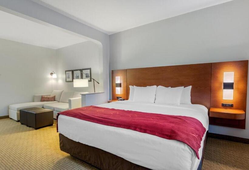 Люкс Кровать Кинг, Comfort Suites La Porte