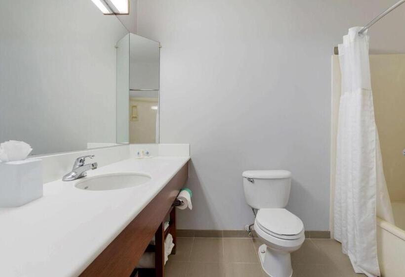 Люкс, Comfort Suites La Porte