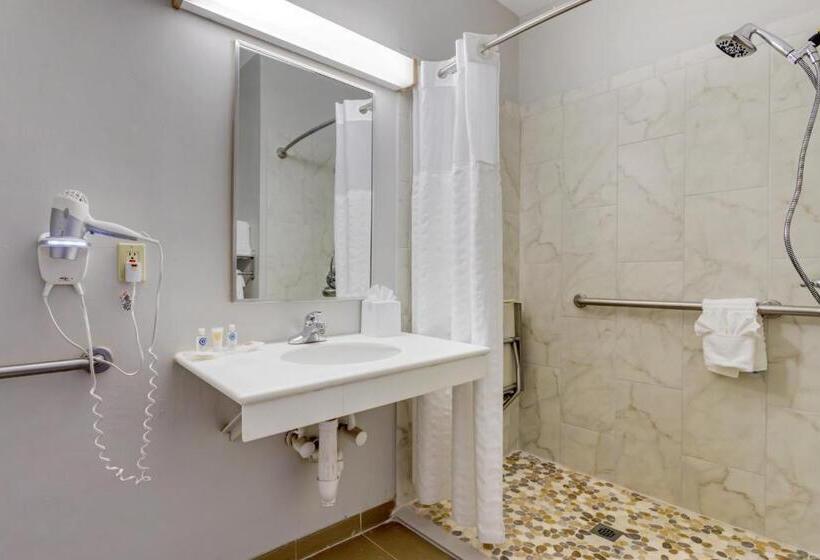 Люкс Адаптированный для Инвалидов, Comfort Suites La Porte