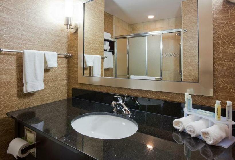 Стандартный Номер Кровать Кинг, Holiday Inn Express And Suites Rochester West Medical Center, An Ihg