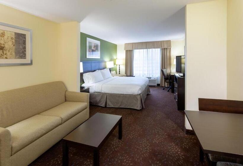 Номер Deluxe Кровать Кинг, Holiday Inn Express And Suites Rochester West Medical Center, An Ihg