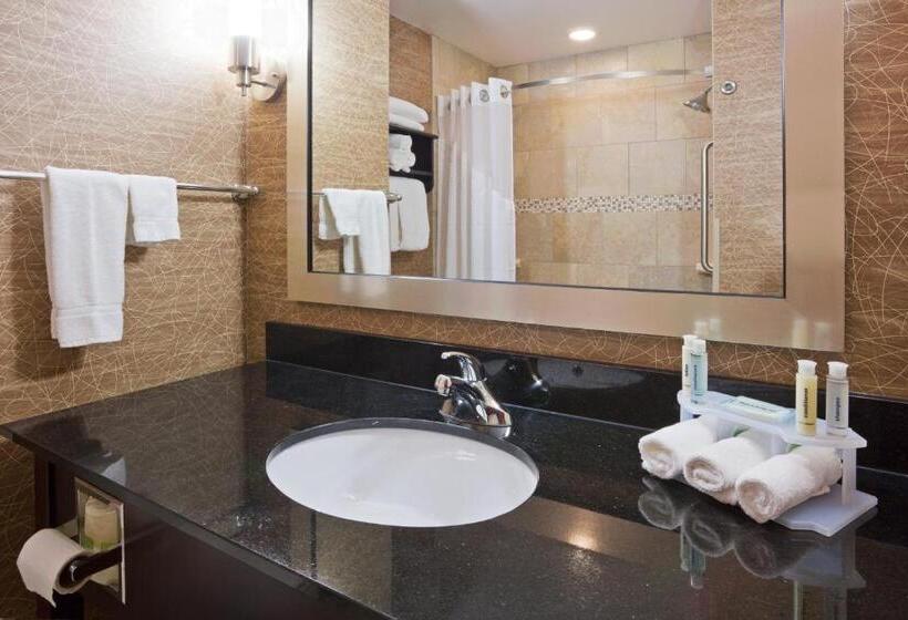 Люкс Кровать Кинг, Holiday Inn Express And Suites Rochester West Medical Center, An Ihg