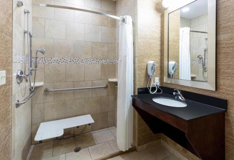 Номер Стандарт Кровать Кинг Адаптированный для Инвалидов, Holiday Inn Express And Suites Rochester West Medical Center, An Ihg
