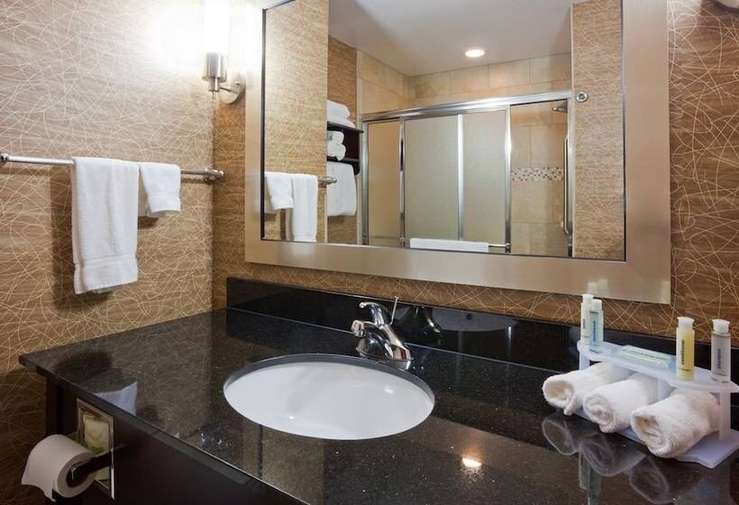 Люкс, Holiday Inn Express And Suites Rochester West Medical Center, An Ihg
