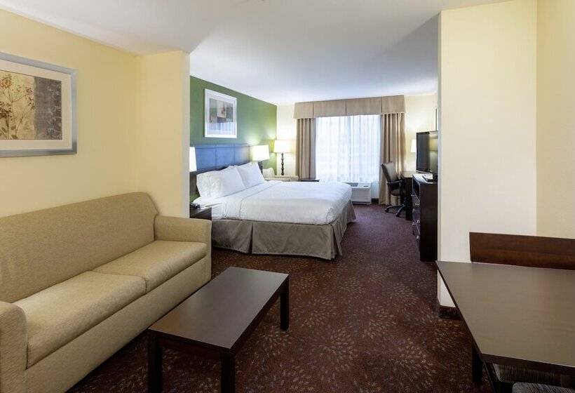Люкс Адаптированный для Инвалидов, Holiday Inn Express And Suites Rochester West Medical Center, An Ihg