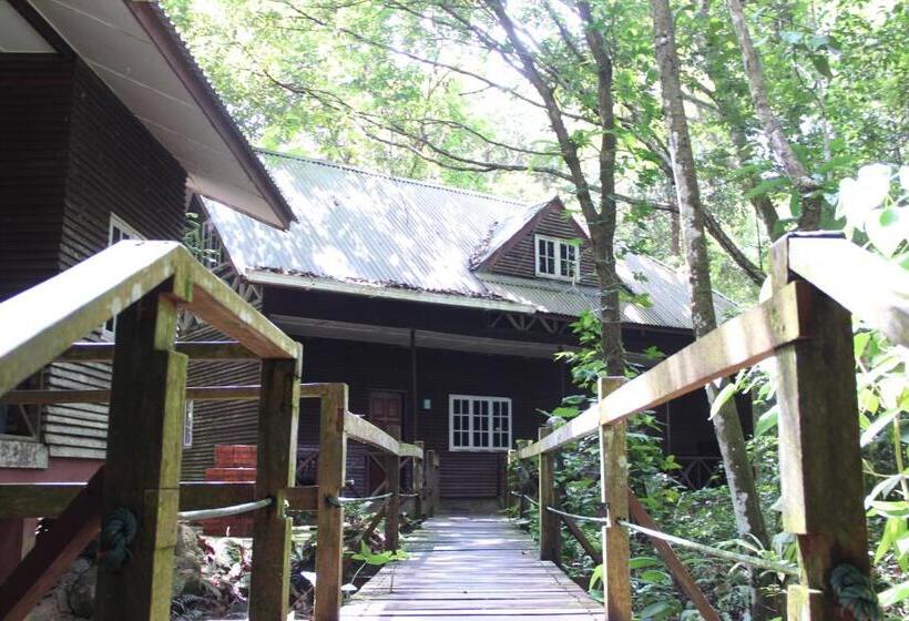 ビラホテル１ベッドルーム, Permai Rainforest Resort