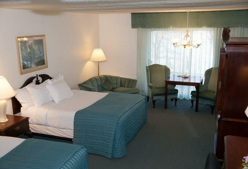 Номер Стандарт, River Terrace Inn