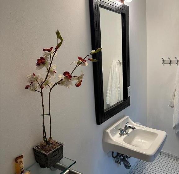 استودیوی لوکس, Casa Condado Hotel & Residences
