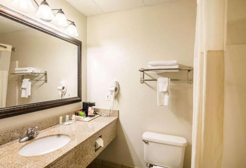 이그제큐티브 룸 킹사이즈 침대, Quality Inn Alexander City