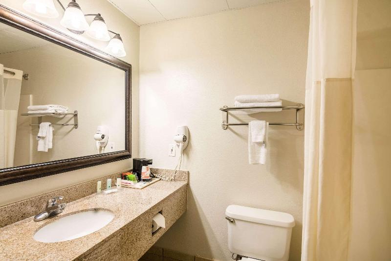 스탠다드 룸 킹사이즈 침대, Quality Inn Alexander City