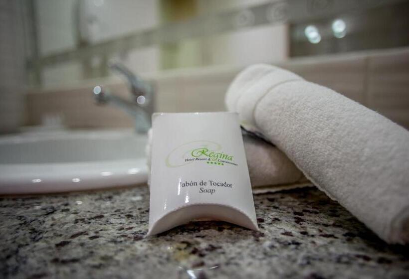 اتاق استاندارد یک نفره, Regina Resort & Convenciones