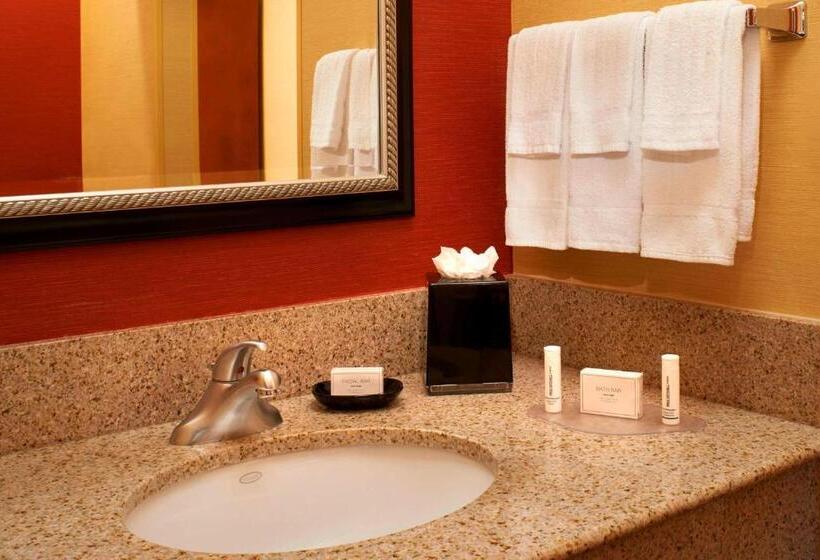 Люкс, Sonesta Select Detroit Auburn Hills
