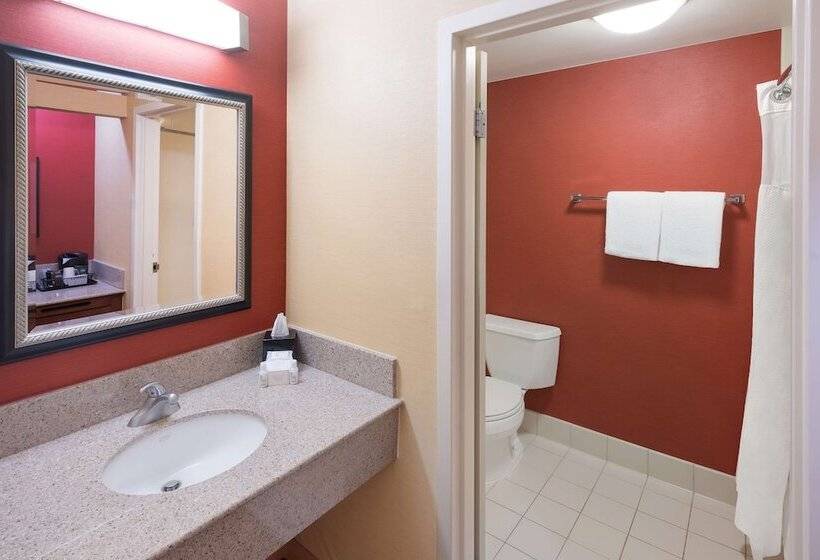 Номер Deluxe, Sonesta Select Detroit Auburn Hills