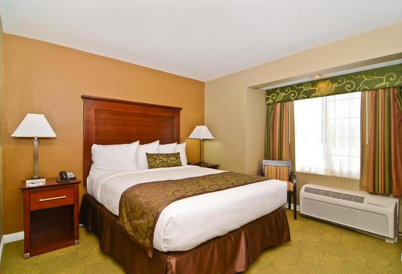 장애인을 위한 킹사이즈 침대 스탠다드 룸, Best Western California City Inn & Suites