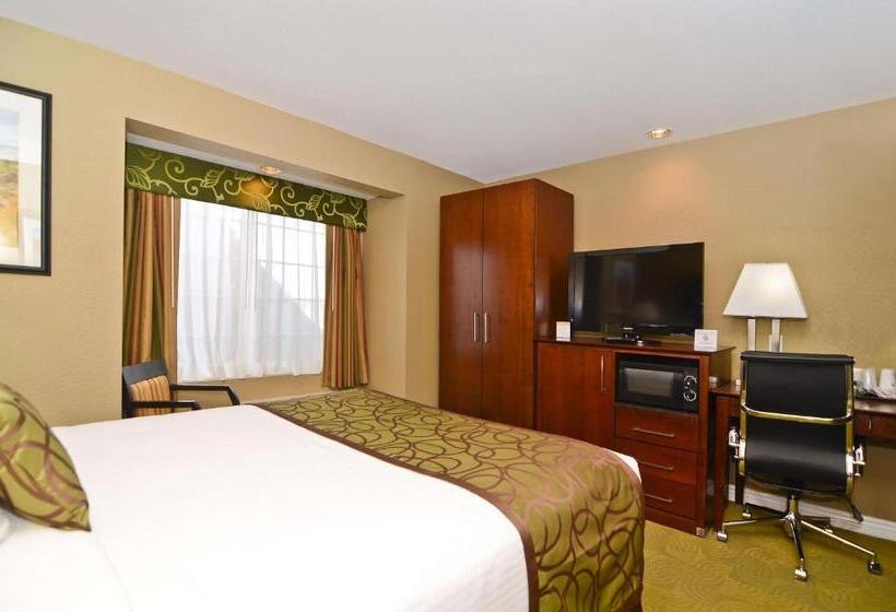 身障者適用キングサイズベッドルーム, Best Western California City Inn & Suites
