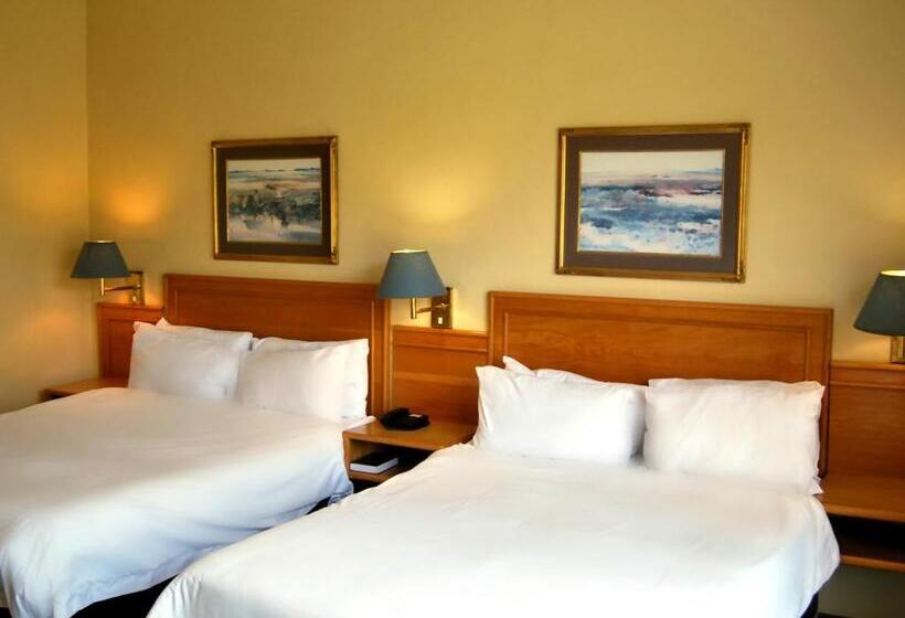 디럭스 패밀리 룸, Safari Hotel & Convention Centre
