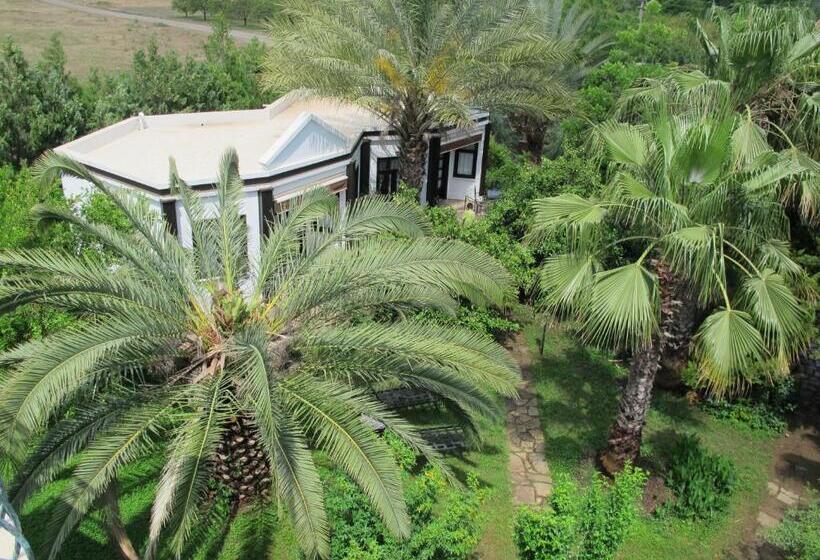 Семейный Номер, Hemeransanatolia