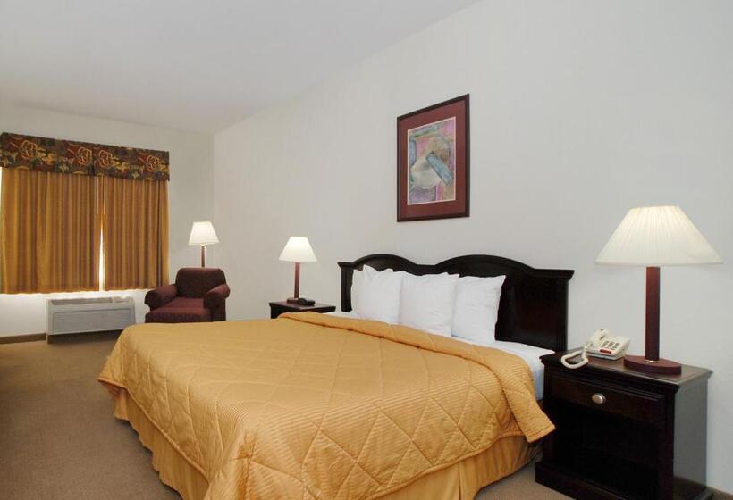 Стандартный Номер Кровать Кинг, Quality Inn & Suites