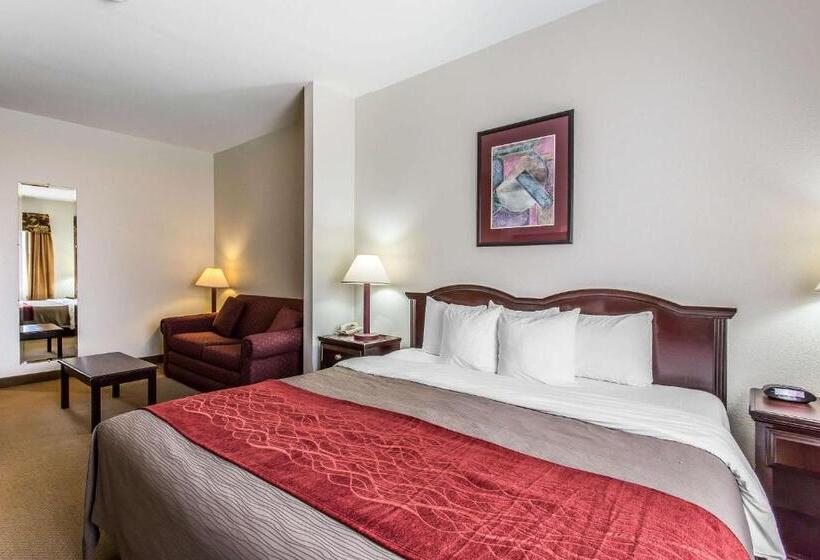Люкс Кровать Кинг, Quality Inn & Suites