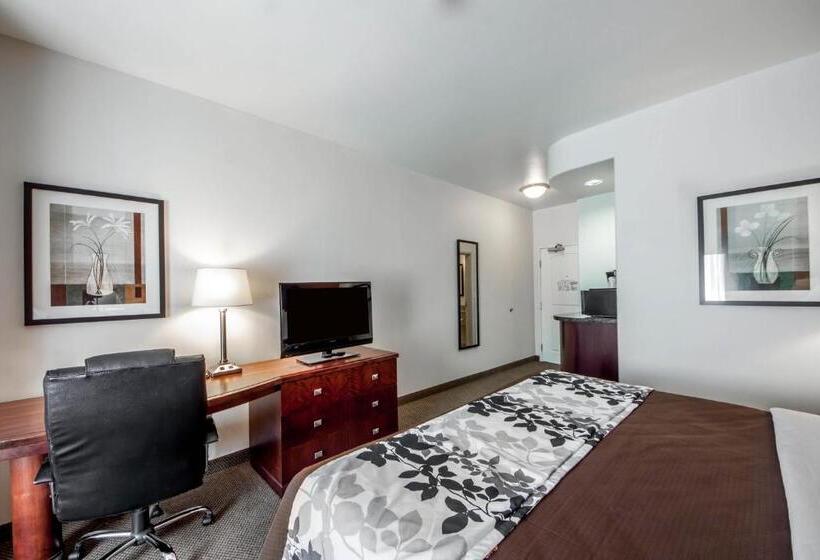 스탠다드 룸 킹사이즈 침대, Sleep Inn & Suites Lawton Near Fort Sill