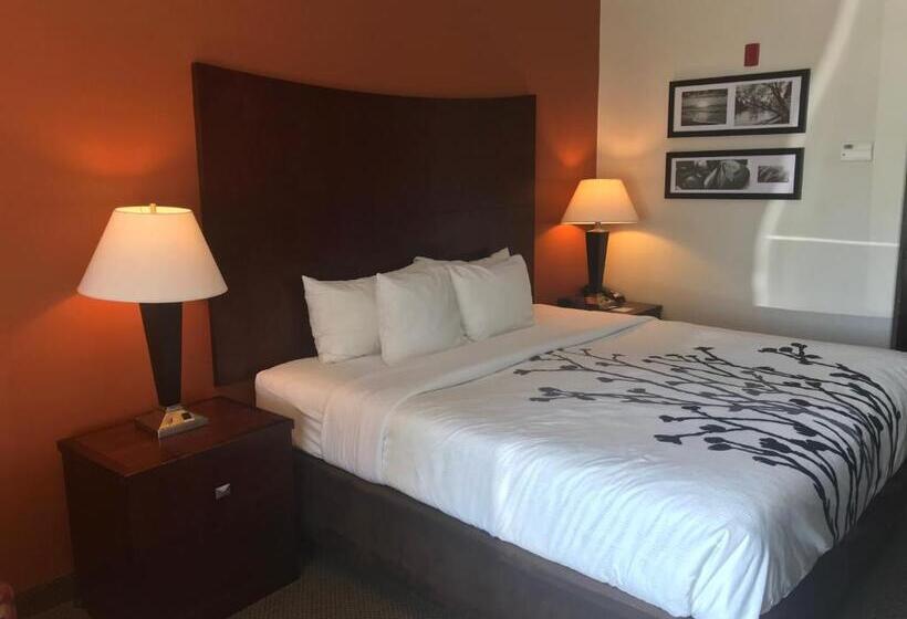 Quarto Estandar Cama King, Sleep Inn & Suites Lawton Near Fort Sill