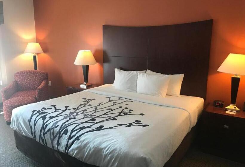 스탠다드 룸 킹사이즈 침대, Sleep Inn & Suites Lawton Near Fort Sill