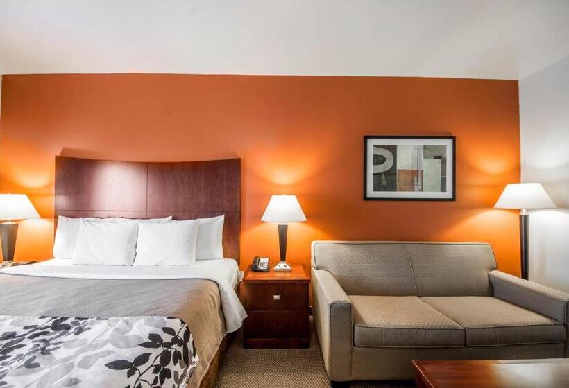 Suíte Cama King, Sleep Inn & Suites Lawton Near Fort Sill