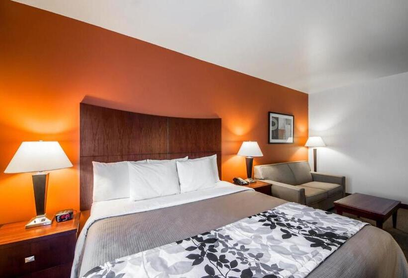 스위트 킹사이즈 침대, Sleep Inn & Suites Lawton Near Fort Sill