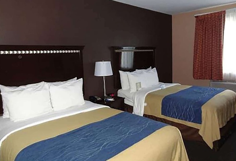 Номер Стандарт 2 Двуспальные Кровати, Travelodge By Wyndham Ozone Park