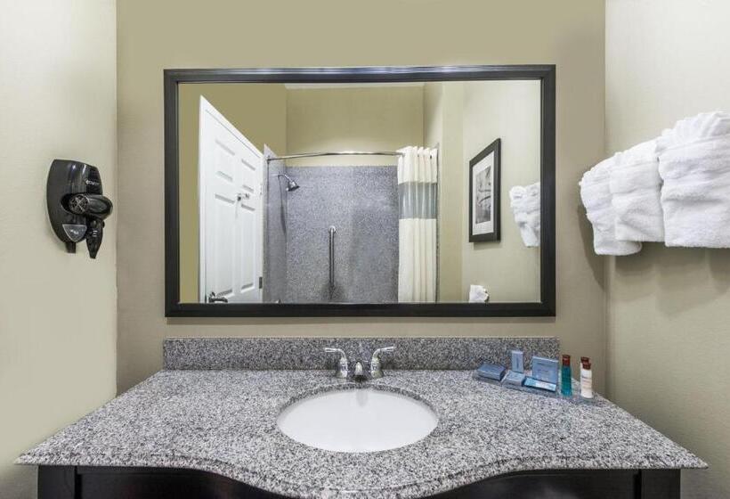 스탠다드 룸 킹사이즈 침대, Wingate By Wyndham Lake Charles Casino Area