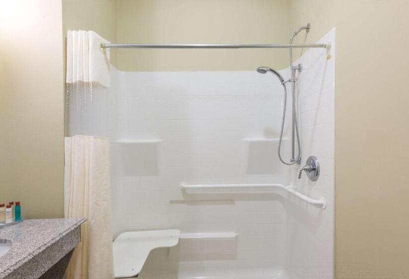 장애인을 위한 킹사이즈 침대 스탠다드 룸, Wingate By Wyndham Lake Charles Casino Area