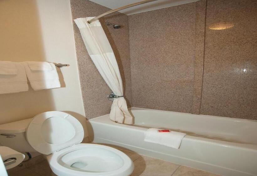 스탠다드 룸 킹사이즈 침대, Econo Lodge