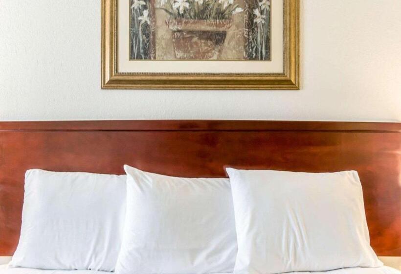 חדר סטנדרט עם מיטת קינג, Econo Lodge