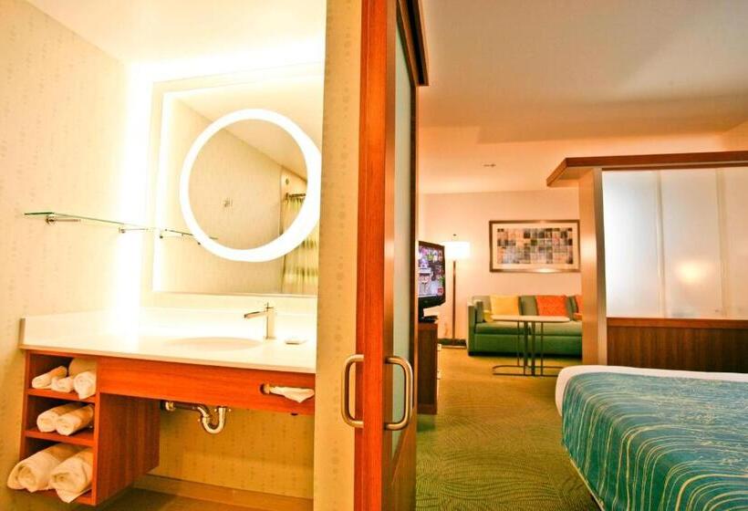 스탠다드 룸 킹사이즈 침대, Springhill Suites Temecula Valley Wine Country