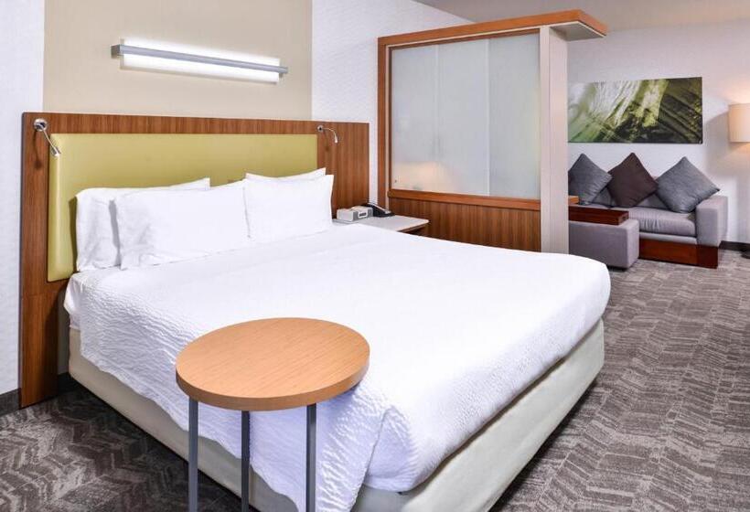 스탠다드 룸 킹사이즈 침대, Springhill Suites Temecula Valley Wine Country