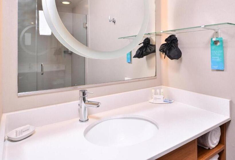 스탠다드 룸 더블 침대 2개, Springhill Suites Temecula Valley Wine Country