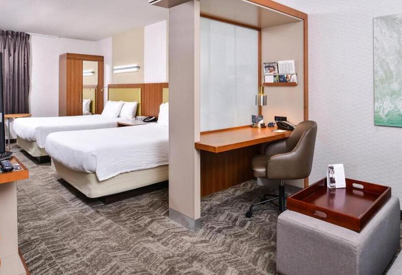 스탠다드 룸 더블 침대 2개, Springhill Suites Temecula Valley Wine Country