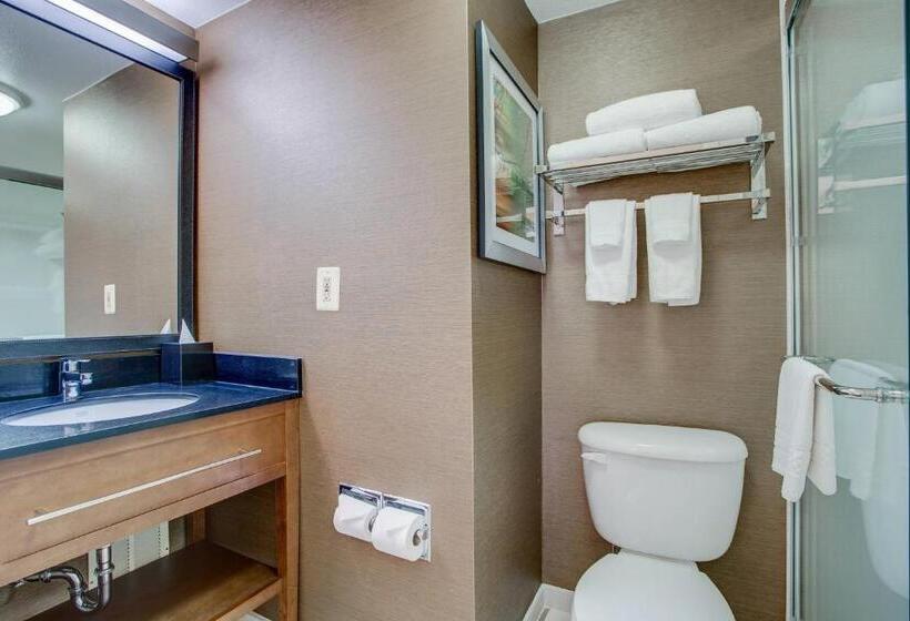 Стандартный Номер Кровать Кинг, Fairfield Inn By Marriott Burlington Williston