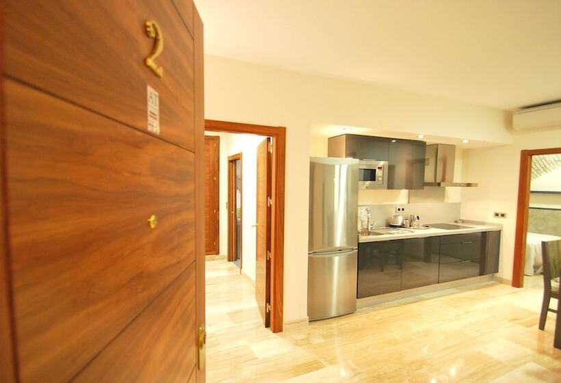 آپارتمان 1 خوابه, Apartamentos Living Sevilla Centro Maestranza