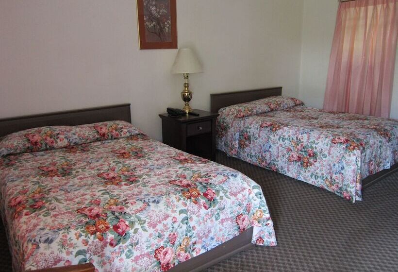 标准间, Cadet Motel