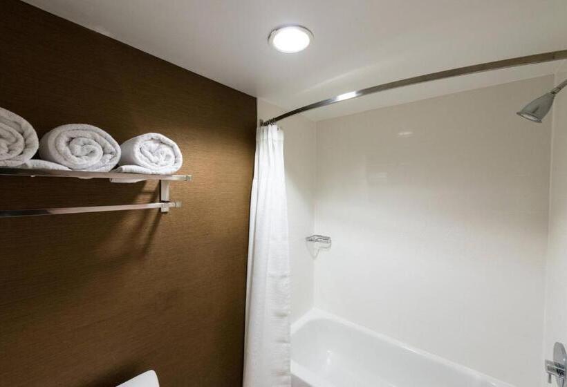 스탠다드 룸 킹사이즈 침대, Fairfield Inn & Suites By Marriott Fort Myers Cape Coral