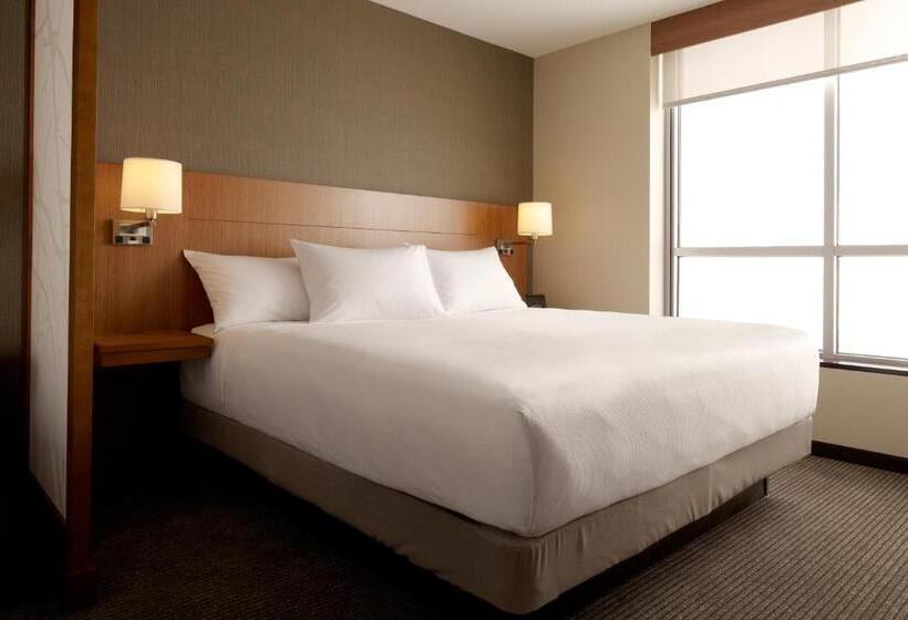 장애인을 위한 킹사이즈 침대 스탠다드 룸, Hyatt Place Baltimore Owings Mills