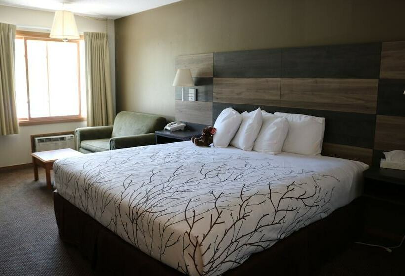 스탠다드 룸 더블 침대, Roosevelt Inn Mount Rushmore