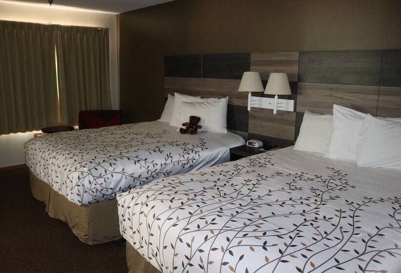패밀리 스위트, Roosevelt Inn Mount Rushmore
