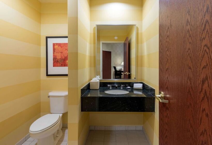 Люкс Адаптированный для Инвалидов, Wyndham Grand Oklahoma City Downtown