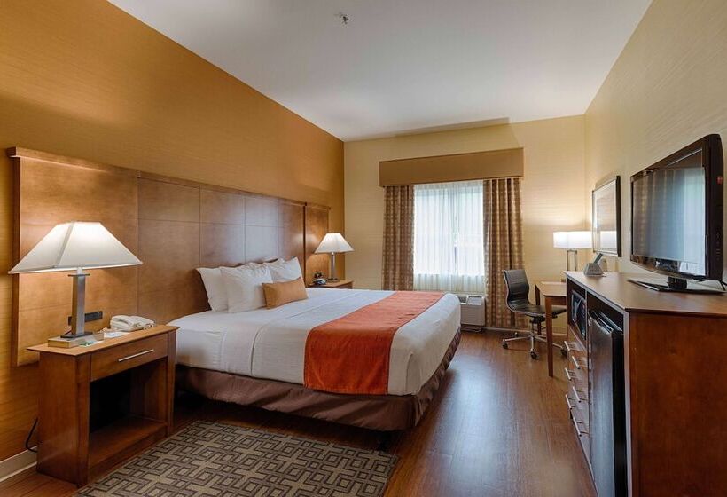 Suite, Best Western Plus Delta Inn & Suites