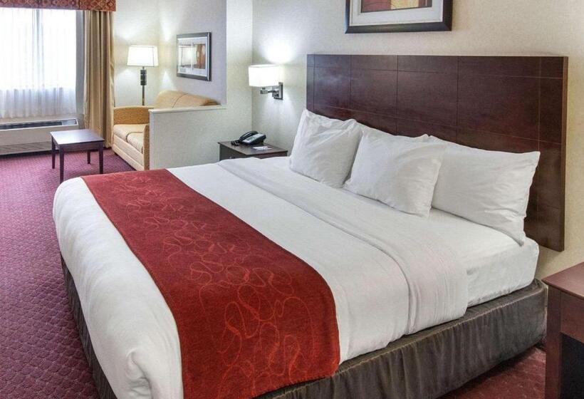 스위트 킹사이즈 침대, Comfort Suites Parkersburg South